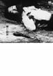 ���̏e�e [DVD]
