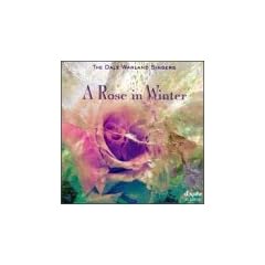 Rose in Winter