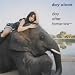 �ӂ����΂���Ƃ݂�[������