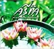 feel �v���[���c�uNew ASIA~�j���[�E�G�C�W�A~�v