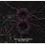 Hellow! We are 8OTTO!-LIVE TOUR 2008-(DVD�t)
