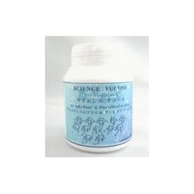 �T�C�G���X�t�R�[�X120�J�v�Z��