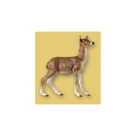 Doe �i�����j