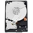 WESTERN DIGITAL 3.5�C���`����HDD 1TB Serial-ATA 7200rpm 32MB WD1001FALS