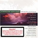 Common Ground: Voices Of Modern Irish Music