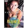 ���Ȃ���1��2�� ���D���ƃo�[�`�����f�[�g [DVD]