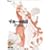 ����镨�� [DVD]