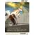 �U�k�@���� STAND ALONE COMPLEX 12 [DVD]
