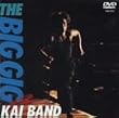 THE BIG GIG [DVD]