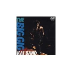 THE BIG GIG [DVD]
