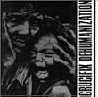 Dehumanization