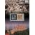 ���E��Y �g���R�� [DVD]