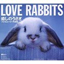 Love Rabbits �����̂�����