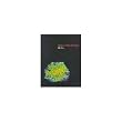 Space is the Machine: A Configurational Theory of Architecture