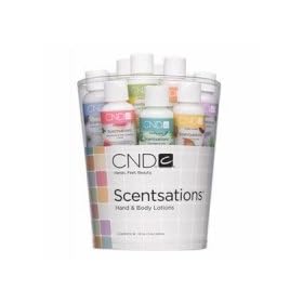 �N���G�C�e�B�u�Z���Z�[�V�����@�T���v���[ 15ml�~�S16���