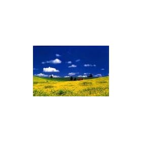 �l�G�̎� 1000�s�[�X �؂̉ԂƑ�n (�k�C���E���l) (50cm�~75cm�A�Ή��p�l��No.10)