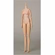 �I�r�c�{�f�B S60 27BD-F05N ����Body SBH-S �i�`������