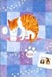 ����ς�L���D�� 7��BOX�i��7��~��13���j [DVD]