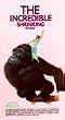 Incredible Shrinking Woman [VHS] [Import]