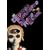 ���l�E�����[ �R���v���[�gDVD-BOX