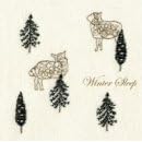 winter sleep