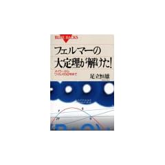 �t�F���}�[�̑�藝��������!�\�I�C���[���烏�C���Y�̏ؖ��܂� (�u���[�o�b�N�X)