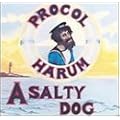 Salty Dog