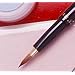 �C�^�`��100�� ���b�v�u���V�i�|�c�u���V���쏊�j�y�I�肷�������V�R�сB�Ȃ߂炩���ƓK�x�ȃR�V�I���E�Ɍւ鉻�σu���V�z