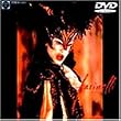 �J�X�g���[�g [DVD]