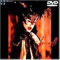 �J�X�g���[�g [DVD]