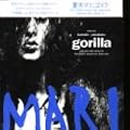 GORILLA