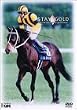 �X�e�C�S�[���h~the first and the last gold medal~ [DVD]