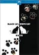 ���L���L [DVD]