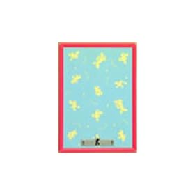 �W�O�\�[�p�l�� �f�B�Y�j�[��p�p�l�� 108�s�[�X 108P�p�s���N (18.2�~25.7cm)