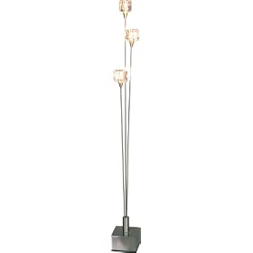 �n���Q���t���A�����v KL-20011