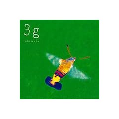 3g