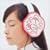 ����~the greatest hits of SHISEIDO~����