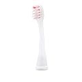 Panasonic ���g�U���n�u���V�p�J�[�u�t���[�g�u���V�E�\�t�g(2�{��) �s���N EW0924-P