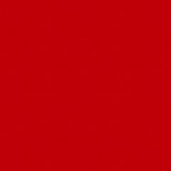 RED JACKET