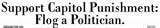  Support Capitol Punishment - flog a politician bumper sticker
