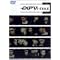 ����D����EXILE2��