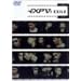 ��EXILE��