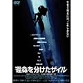 �^���𕪂����U�C�� [DVD]