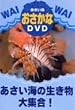 ���C���C��������DVD �������C�̐�������W��!
