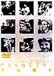 ���̏W�� [DVD]