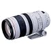 Canon EF�����Y EF100-400mm F4.5-5.6L IS USM �Y�[�������Y �]��