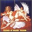 �Í��̐���~BLIZARD OF WIZARD~