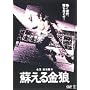 �h������T [DVD]