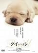 �N�C�[�� [DVD]
