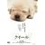 �N�C�[�� [DVD]